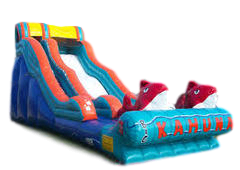 BIG KAHUNA DRY SLIDE BIG KAHUNA DRY SLIDE
